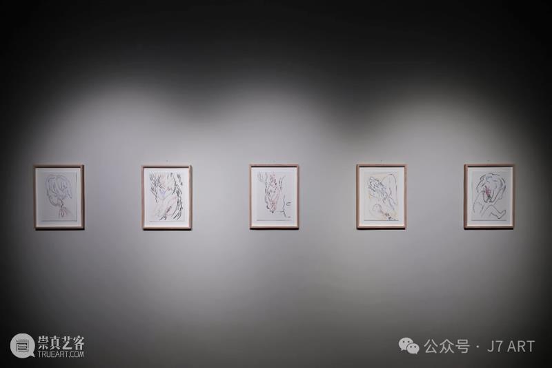 J7 ART | 艺术家聚焦 | 苔丝·杜蒙 Tess Dumon 视频资讯 J7 ART 艺术家 苔丝 杜蒙 Dumon ART 空间 姿态 国内外 当代艺术家 房间 崇真艺客